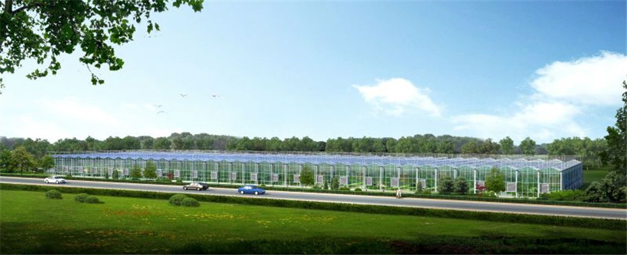 箬橫農業(yè)大棚